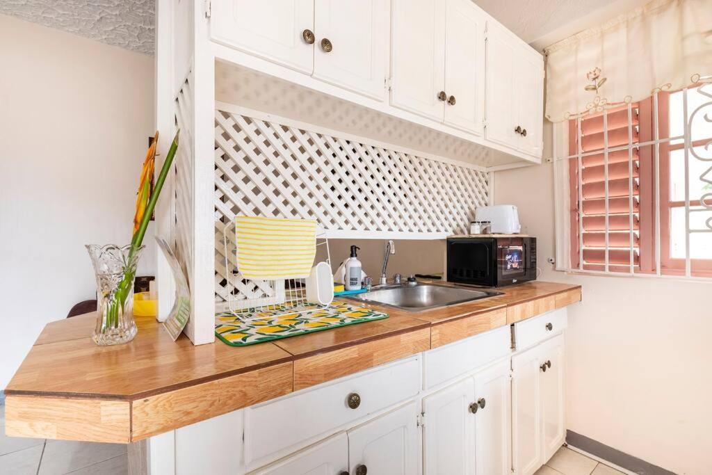 Shaw Park Gem Apt 12A Ocho Rios Buitenkant foto