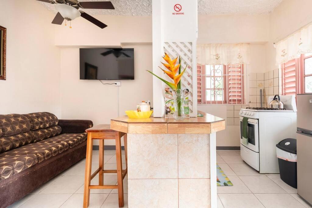 Shaw Park Gem Apt 12A Ocho Rios Buitenkant foto
